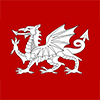 Anglo Saxon Flag